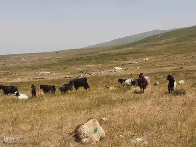طبیعت زیبای قوشاداغ در اهر