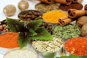 همدان با 315 گیاه دارویی؛ قطب اقتصادی عرقیجات کشور