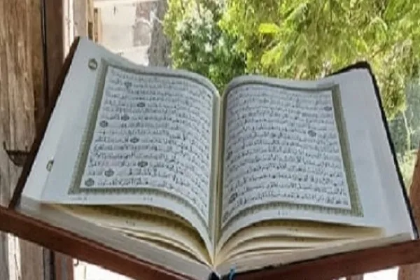 تبدیل درخت خشکیده به رحل قرآن در مصر + عکس