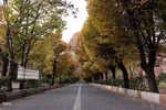 طبیعت پاییزی تبریز