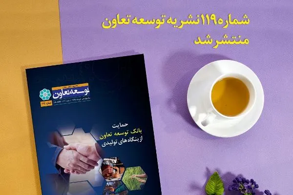 شماره یکصد و نوزدهم نشریه «توسعه تعاون» منتشر شد