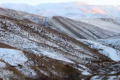 برف و یخبندان روستای «کردلر» در اهر