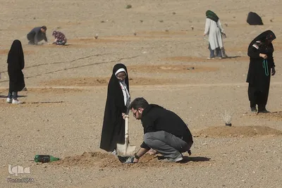 غرس نهال در روز طبیعت