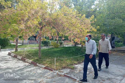 خودنمایی فصل خزان در اولین روزهای فصل پاییز