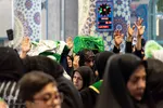 همایش شیرحوارگان در کرج