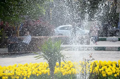 گلستان تبریز