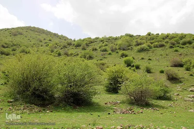 طبیعت بهاری شهرستان اهر در یک نگاه