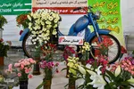 نمایشگاه گل و گیاه - محلات/عکس:محمد رجبی