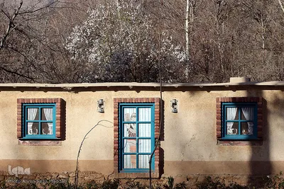 شکوفه‌های زودهنگام شهر راز