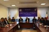 طراحی الگوی هم‌افزایی هم‌خانواده صمت برای عبور از موانع تولید در فارس