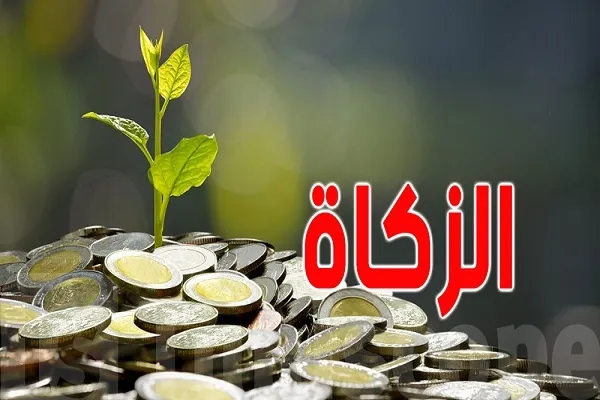 الزكاة من ضروريات الدين الإسلامي