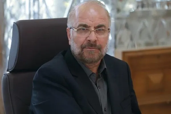 دیدار رئیس مجلس با خانواده‎‎های شهید سلامت و جهادگر آسمانی