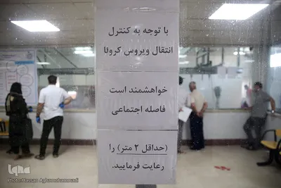 بازار عرضه دام سبک «آزادگان» شهرداری تهران در عید سعید قربان