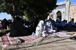 مراسم دعای عرفه در امامزاده عون بن علی(ع) تبریز