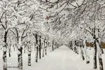 بارش اولین برف زمستانی در اراک