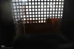 امام زاده ای در دل طبیعت بکر و جنگلی اهر