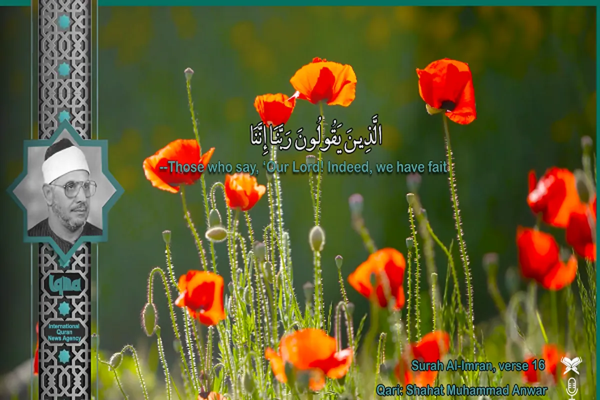 ویڈیو | قاری «شحات» کی یادگار تلاوت- سوره آل‌عمران
