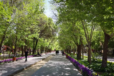 اصفهان؛ نبض زندگی در شکوه ایستادگی
