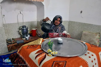 فصل برداشت در نرگس‌زارهای خوسف