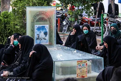 ویژه برنامه «سِرّ سَر» در گلزار شهدای شیراز‎‎