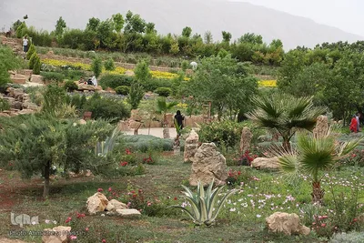 اردیبهشت باغ گل های شیراز‎‎
