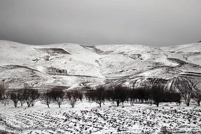 بارش برف پاییزی در ارتفاعات و مناطق روستایی اهر