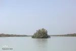 طبیعت صفر مرزی چابهار