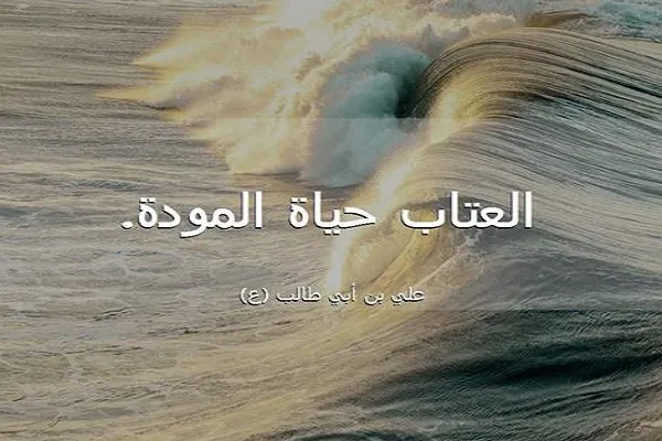 العِتاب لَومٌ على تضييع حقوق المَودَّة والمَحَبَّة والأخُوَّة والصداقة