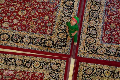مراسم شیرخوارگان در حرم مطهر شاهچراغ(ع)