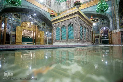 شکوه چشم نواز روضه منوره رضوی
