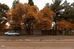 نغمه باران در اصفهان