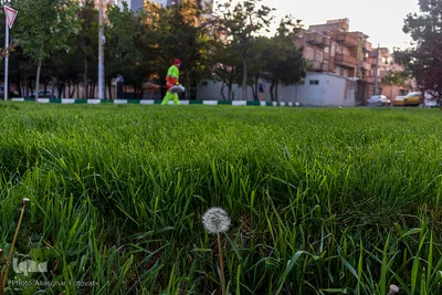مدافعان پاکیزگی