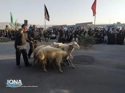 شبیه خوانی طفلان مسلم در اهر