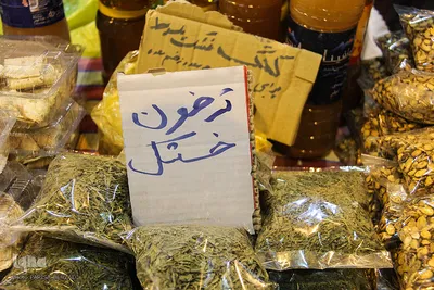 جشنواره ملی اقوام ایرانی_اراک
