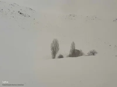 طبیعت برفی مناطق شهری و روستایی اهر
