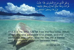 Katotohanan mula sa Qur’an/11
Paano Kinategorya ng Qur’an ang Iba't Ibang mga Uri ng Tubig