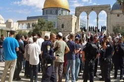 عشرات المستوطنين يقتحمون المسجد الأقصى لتأدية طقوس تلمودية