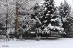 بارش نخستین برف زمستانی در ارومیه‎‎