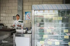 مردانی که زندگی می آفرینند