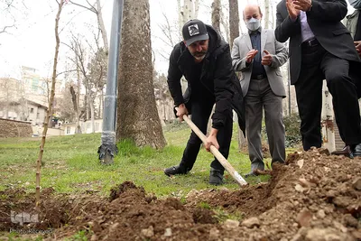 کاشت درخت توسط هنرمندان در فرهنگسرای نیاوران