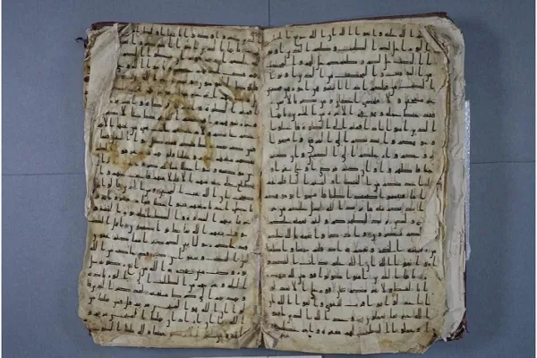 تفاصيل عرض صفحتين من 