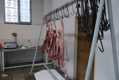ذبح و توزیع گوشت قربانی بین نیازمندان در تبریز