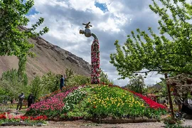 جشنواره لاله‎های آسارا‎