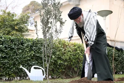 کاشت نهال توسط مقام معظم رهبری