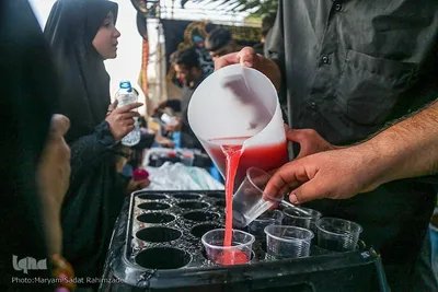 پیاده‌روی «مثل اربعین» در دانشگاه صنعتی شیراز