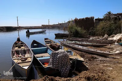 تالاب شادگان