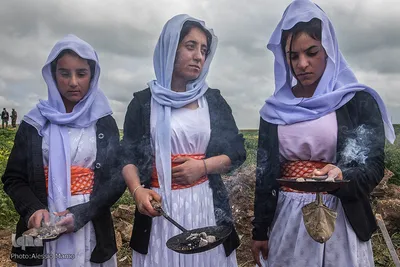 سه زن ایزدی در مراسم نبش نخستین گور دسته جمعی در کوجو در سنجار عود می سوزانند. تیم پزشکی قانونی عراق و اداره گورهای دسته جمعی این کشور با همکاری تیم تحقیقاتی سازمان ملل کار خود را بر روی گورهای دسته جمعی ایزدی‌ها آغاز کردند.