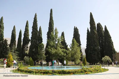 مسافران نوروزی در باغ ارم شیراز