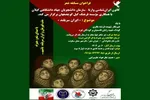 فراخوان مسابقه شعر با موضوع «ایران سربلند»