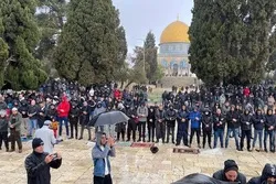 30000 Palästinenser verrichten Freitagsgebet in der Al-Aqsa-Moschee